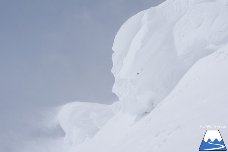 いざ極寒パウダーへ！占冠バックカントリースキー・Backcountry Skiing！